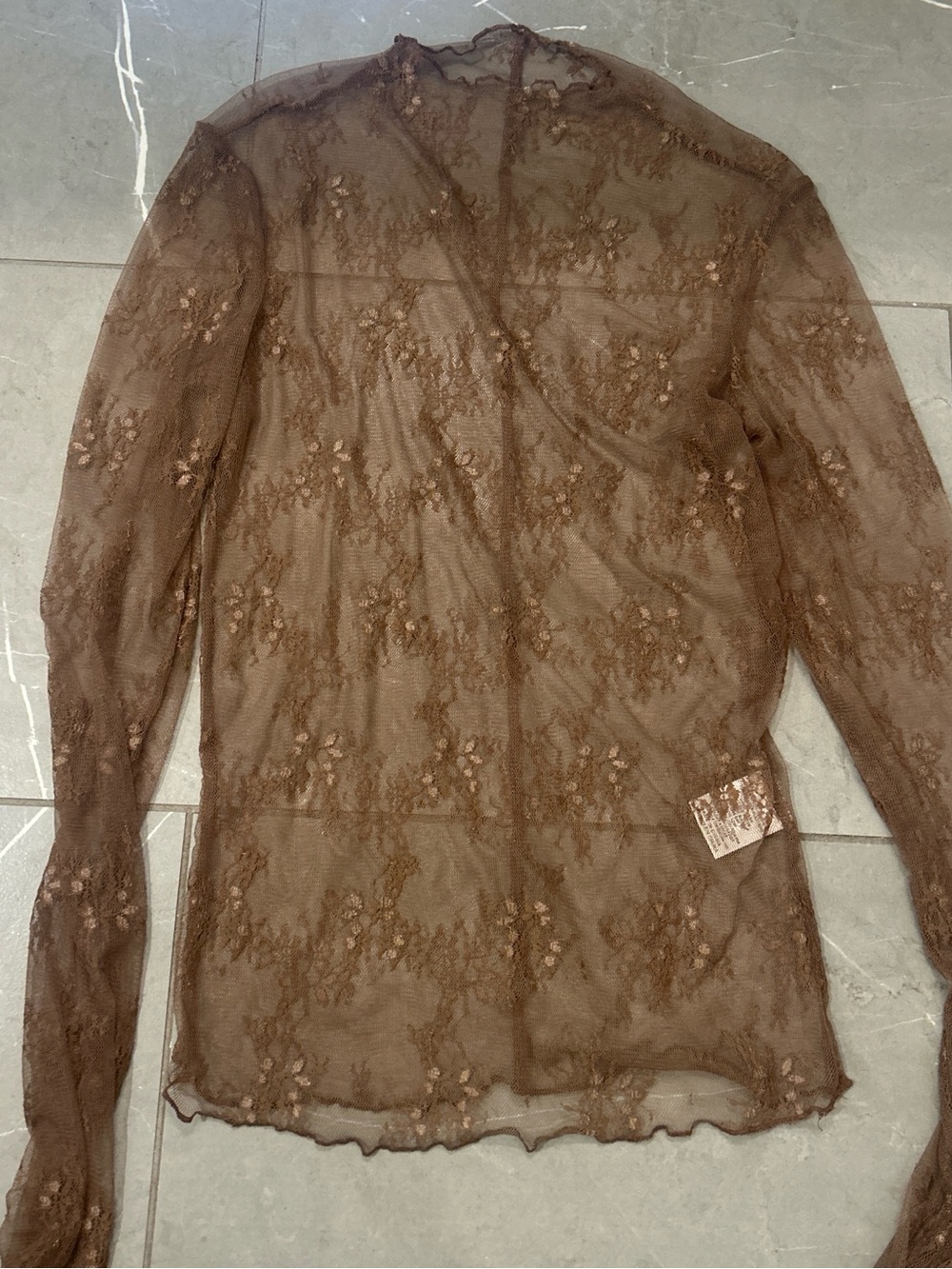 vestique Brown Sheer Floral Lace Long-Sleeve Top